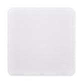 Apple Original Polishing Cloth