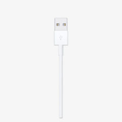 Apple Original Lighting to USB Cable (1m)