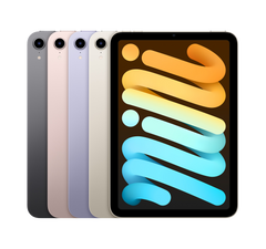 iPad mini 6
