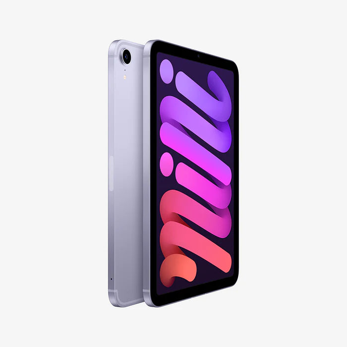 iPad mini 6
