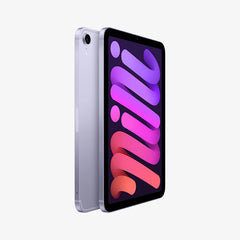 iPad mini 6