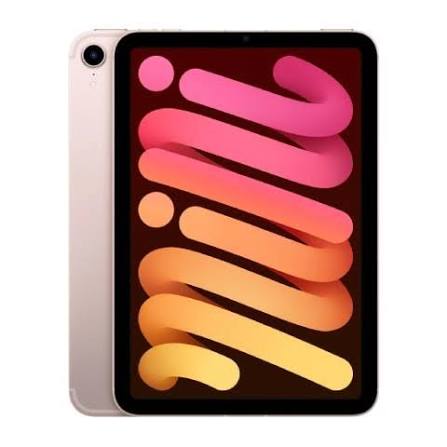 iPad mini 6